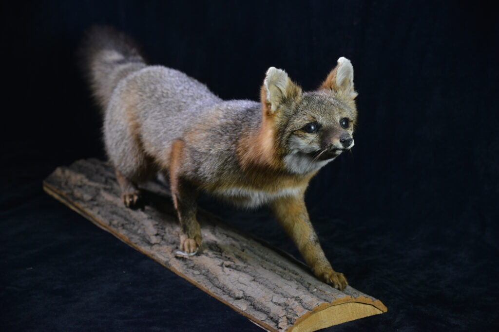 MJCOONEY Oshkosh WI USA