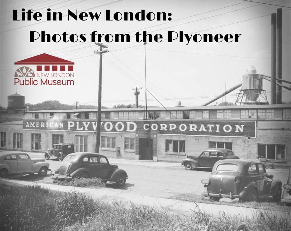 Photos from American Plywood