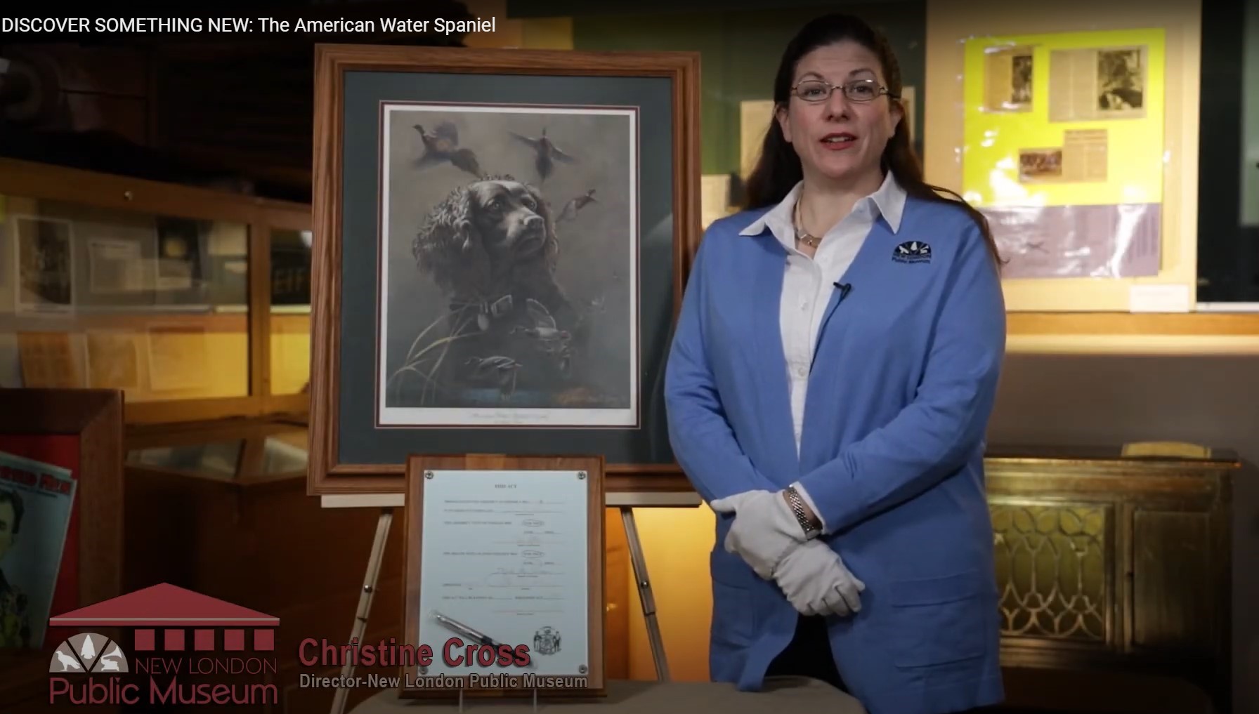 Discover Something New: American Water Spaniel