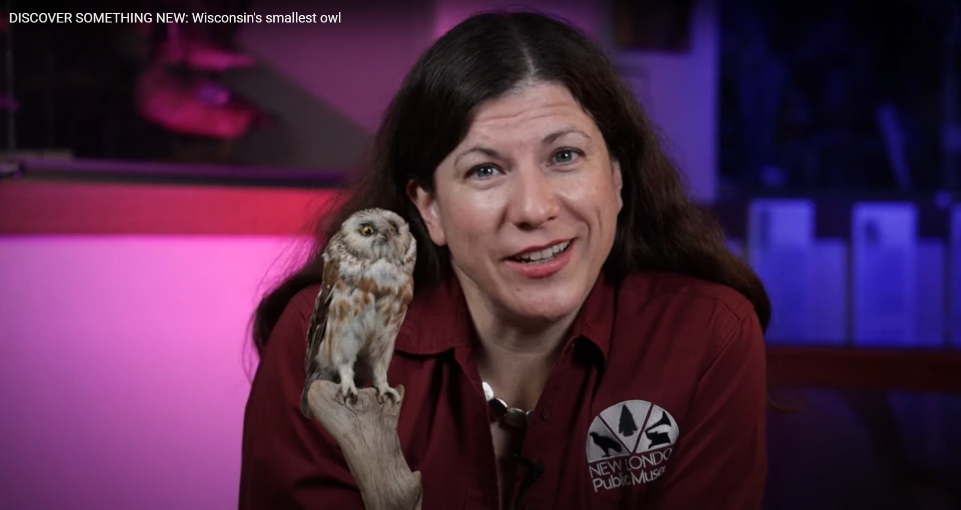 Discover Something New: Wisconsin's Smallest Owl